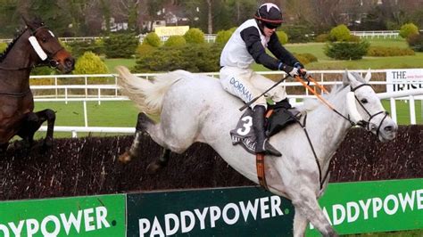 cheltenham bets today